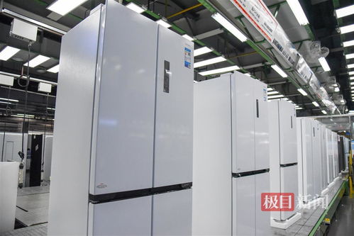 沿著長江經濟帶看中國 探秘全球最大單體冰箱生產基地